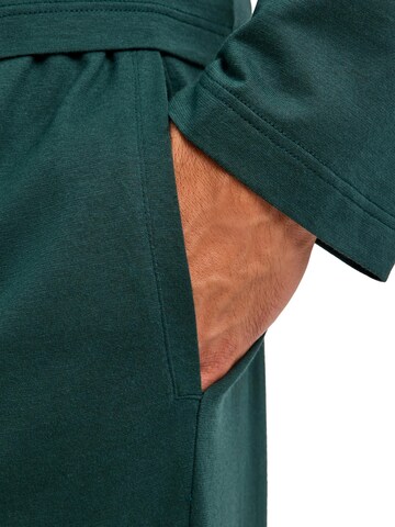 FALKE Regular Workout Pants in Green