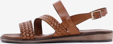 Sandales Derimod en marron : devant