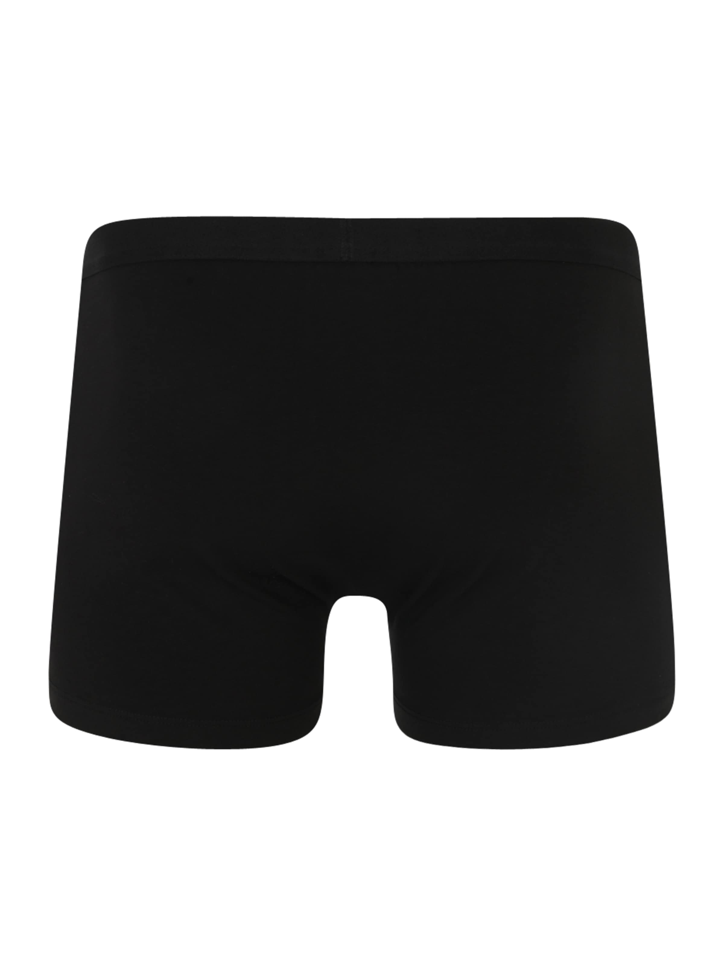 Boxers 'Dante' ABOUT YOU en noir