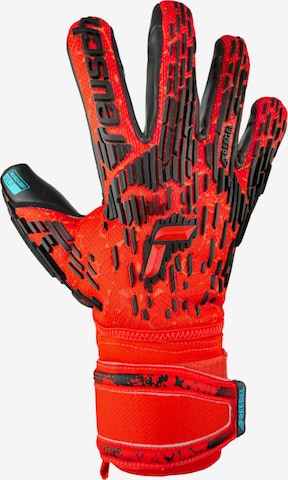 REUSCH Athletic Gloves 'Attrakt Freegel Gold' in Red: front