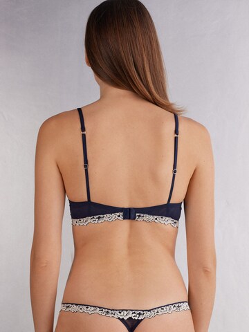 INTIMISSIMI Push-up BH in Blau