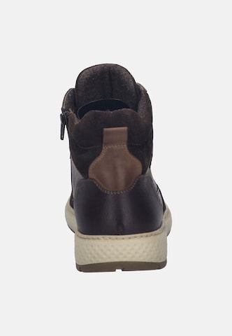 JOSEF SEIBEL Stiefelette 'CLAYTON 50' in Braun