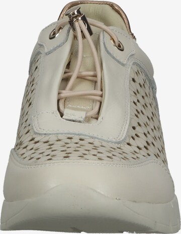 PIKOLINOS Sneakers laag 'Cantabria' in Beige