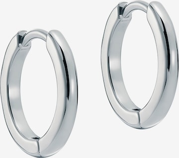 Ted Baker Earrings in Silver: front