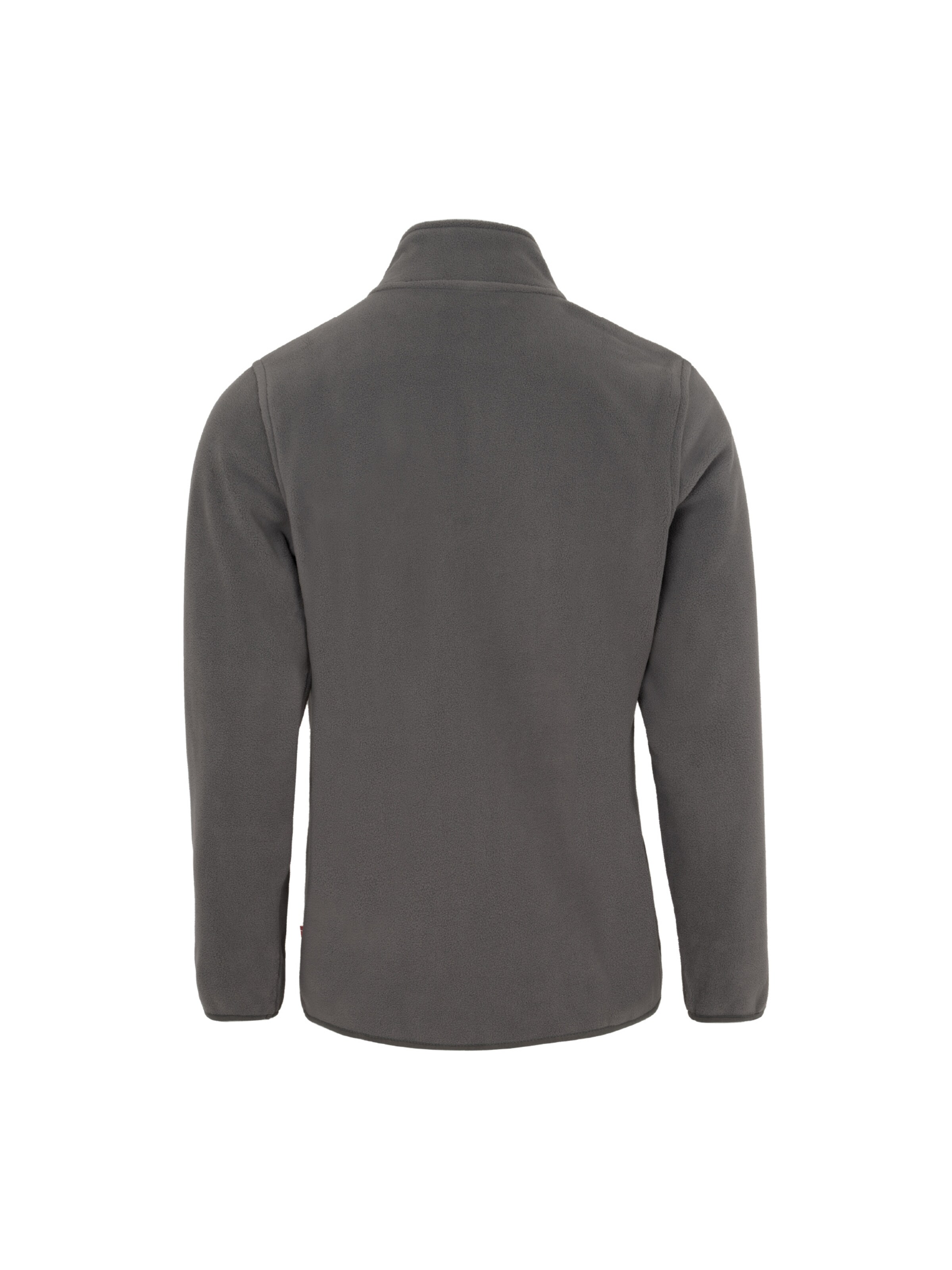 Veste en polaire DANISH ENDURANCE en gris