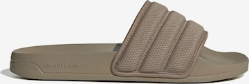 Zoccoletto 'Adilette' di ADIDAS SPORTSWEAR in grigio: frontale