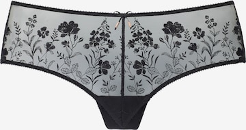 LASCANA Panty in Black: front