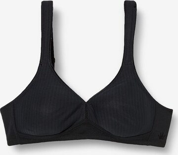 TRIUMPH Triangle Bra in Black: front