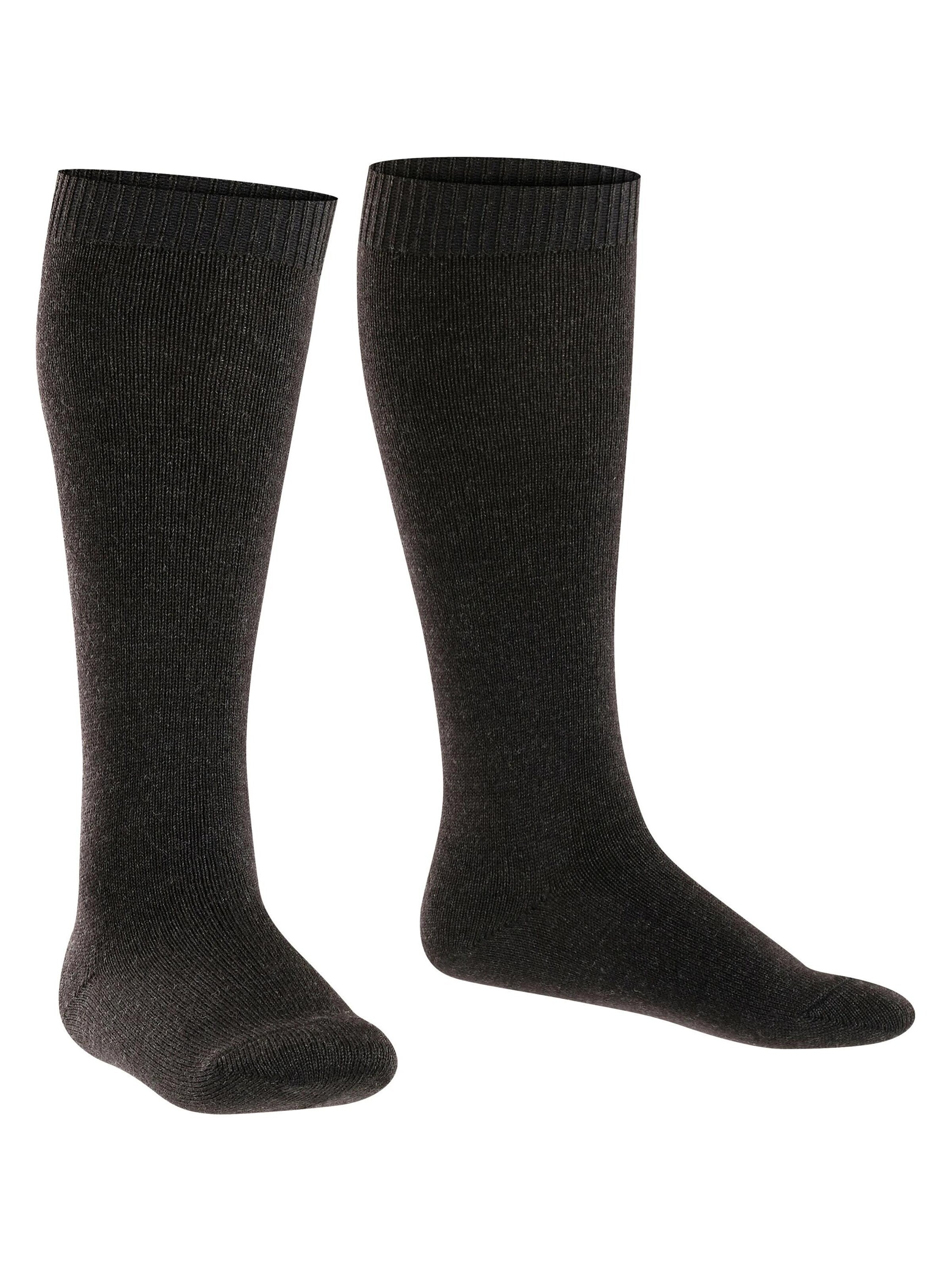 FALKE Socks 'Comfort Wool' in Grey