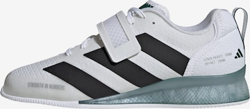 ADIDAS PERFORMANCE - Calzado deportivo 'Adipower 3' en blanco: frente