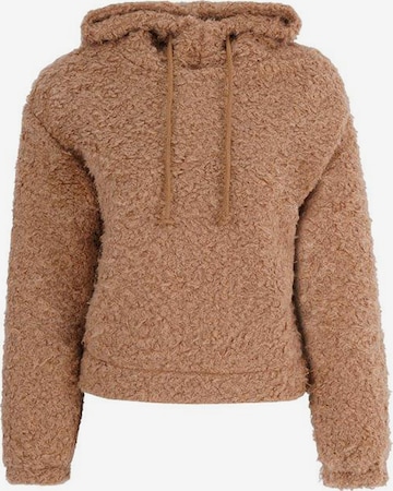FRESHLIONS Sweatshirt in Brown: front