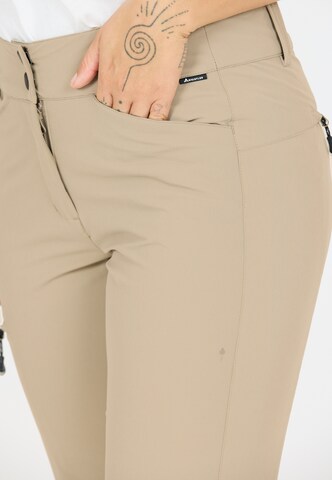 Whistler Regular Outdoor trousers 'SHANNIE' in Beige
