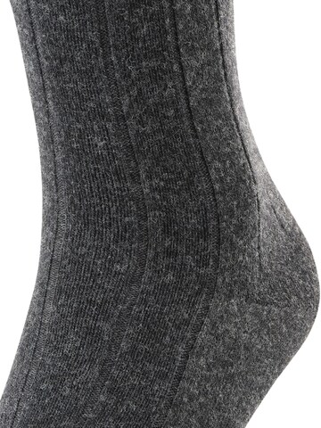 FALKE Knee High Socks 'Lhasa Rib' in Grey