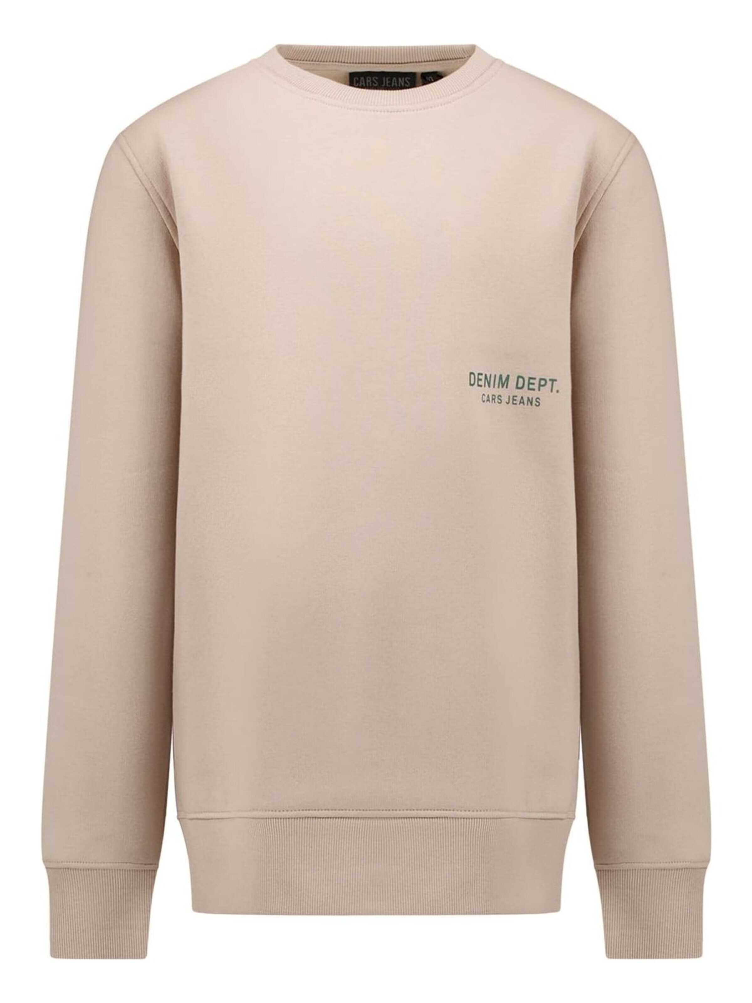CARS Sweater in Grey: front