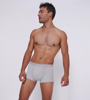 SLOGGI Boxer shorts 'Go Abc 2.0' in Grey