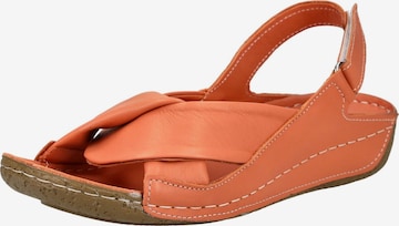 Sandalo di ANDREA CONTI in arancione: frontale