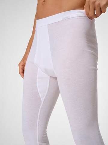 Sous-vêtements longs ' Organic Feinripp ' Ammann en blanc