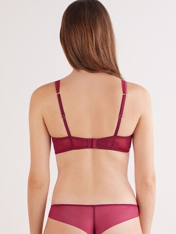 INTIMISSIMI Triangel BH in Lila