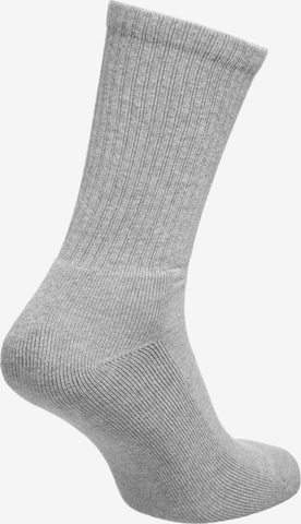 Carhartt WIP Socken in Grau