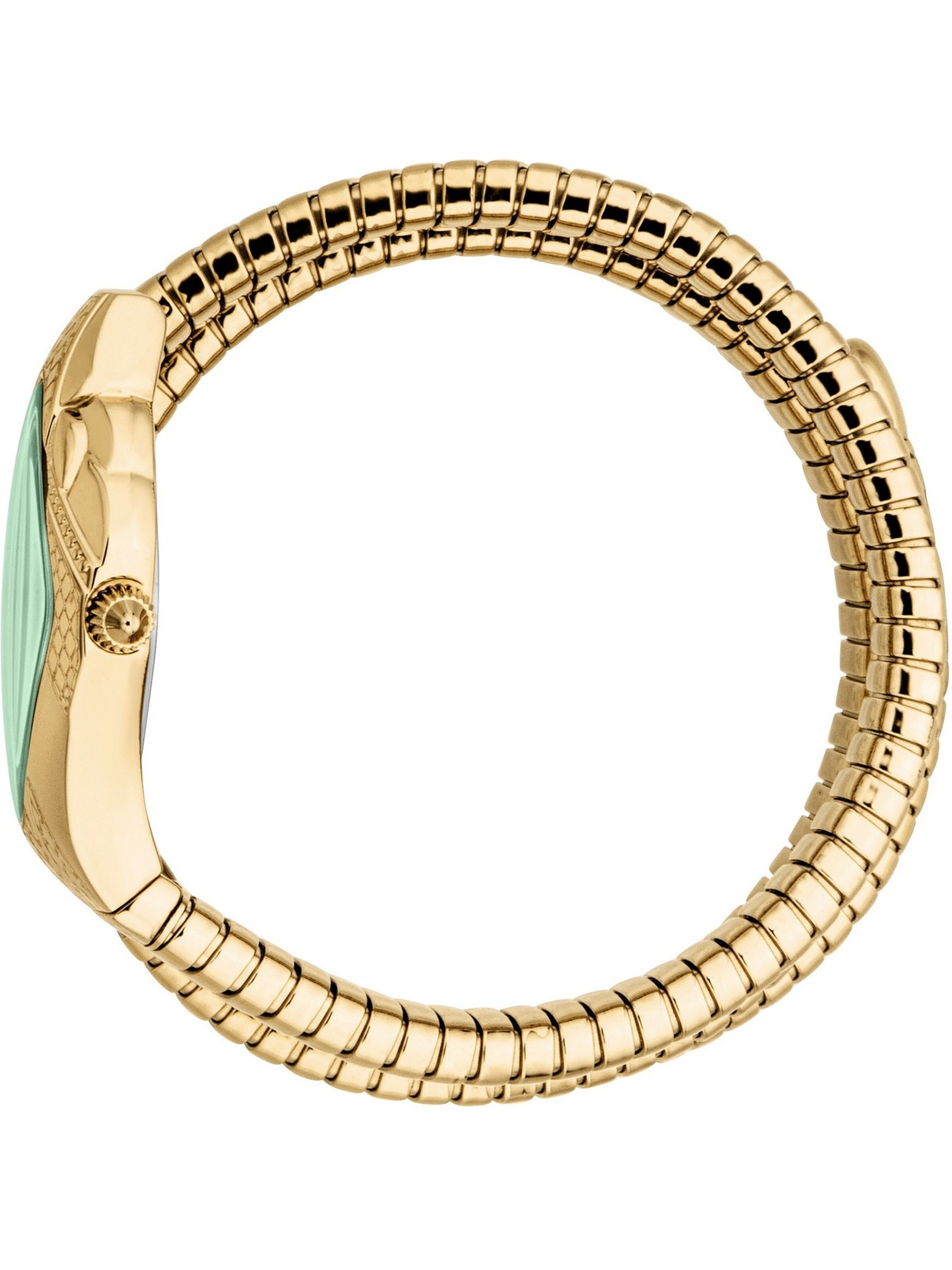 Just Cavalli Analog watch in Gold