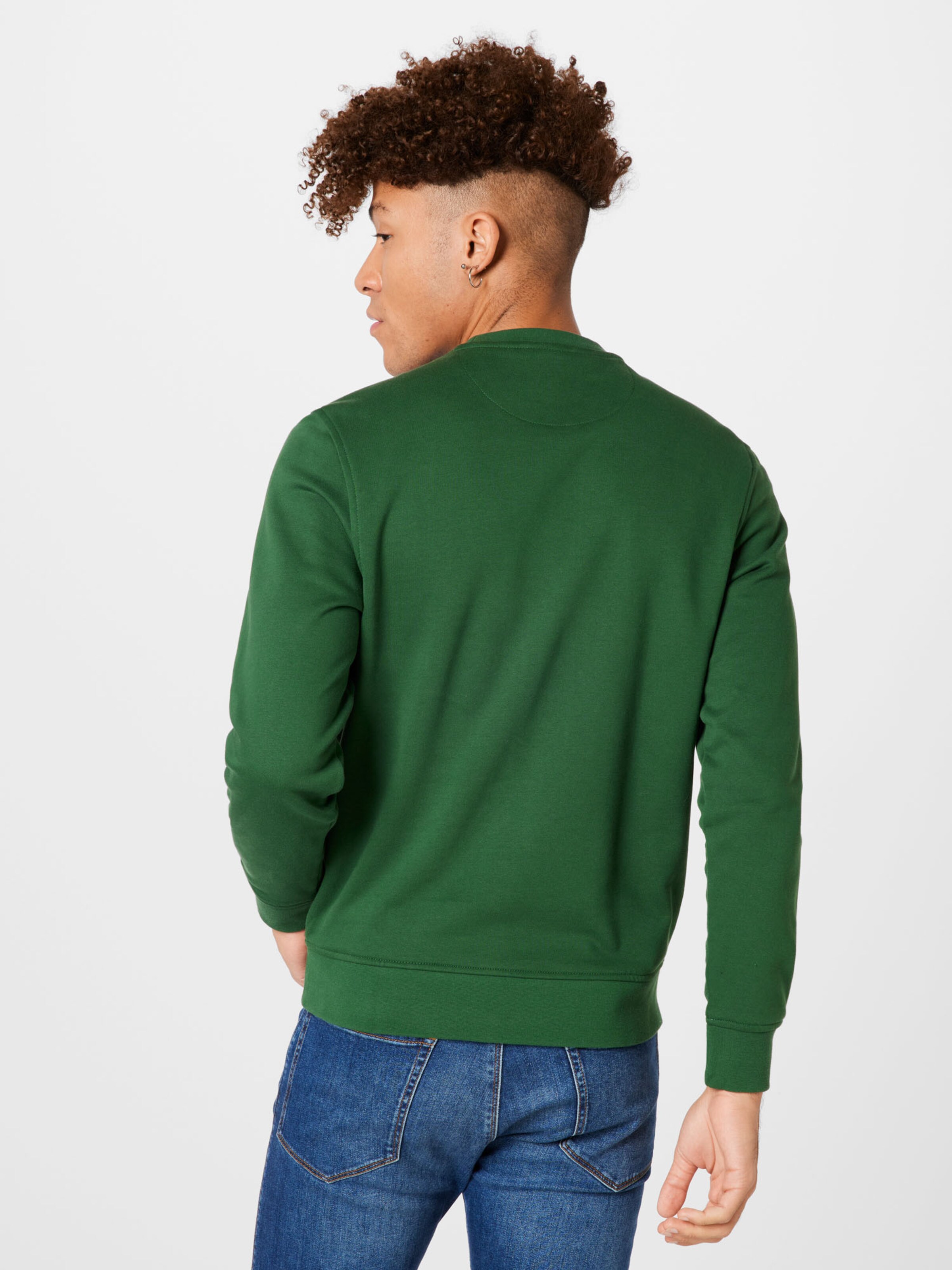 Männer Große Größen LACOSTE Sweatshirt in Hellgrün - LT39226 Männer Große Größen LACOSTE Sweatshirt in Hellgrün - LT39226