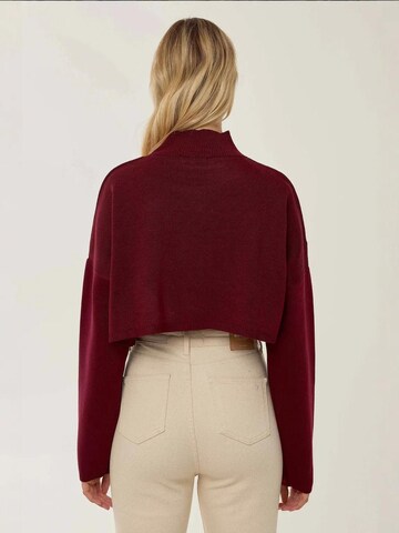 Pull-over Hiccup en rouge