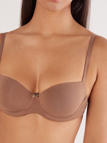 INTIMISSIMI Push-up Bra in Brown