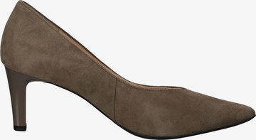 Högl Pumps in Brown