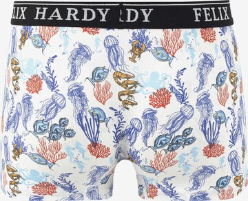 Felix Hardy Boxershorts in Grau