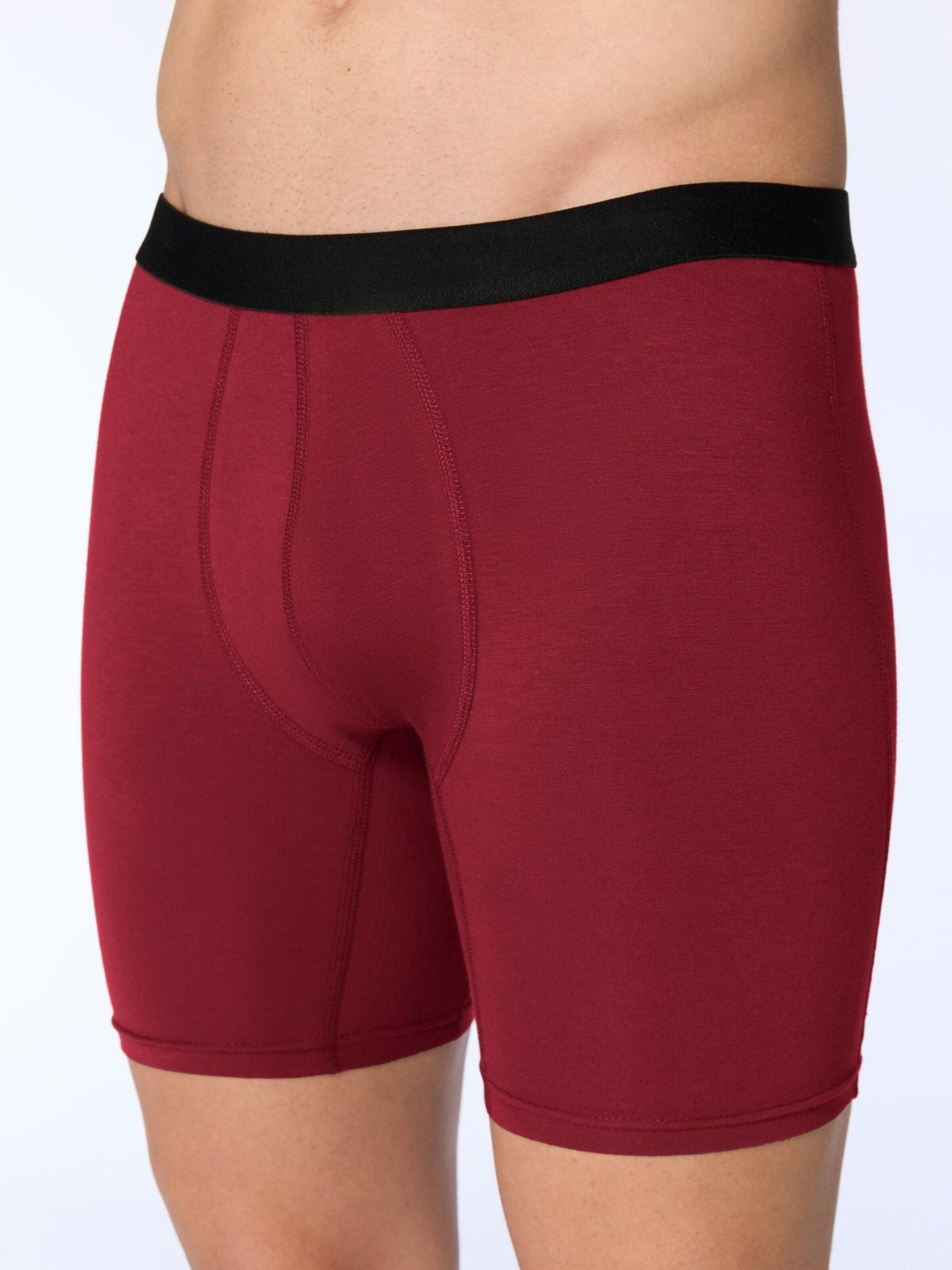 Albero Natur Long Johns 'Long underpants 'Bio-Baumwoll-Herren Long Trunks - 3er Pack'' in Red