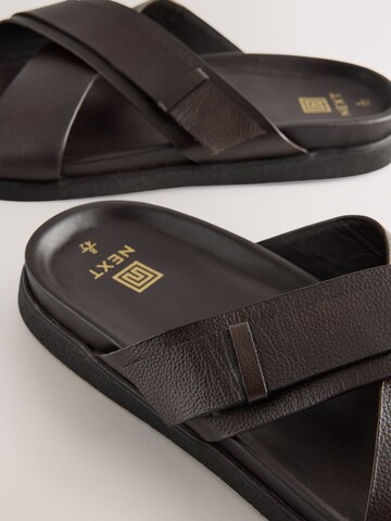 Next Mules in Brown