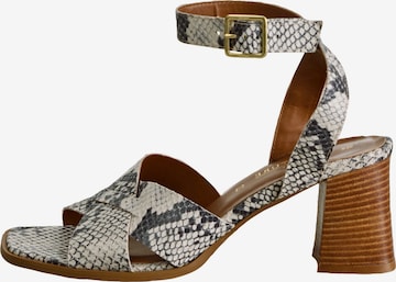 Next Sandalen met riem in Grijs: voorkant