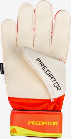ADIDAS PERFORMANCE Athletic Gloves 'Predator' in Orange