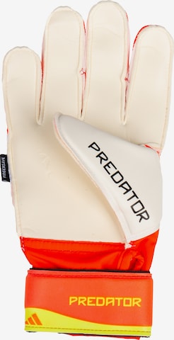 Gants de sport 'Predator' ADIDAS PERFORMANCE en orange