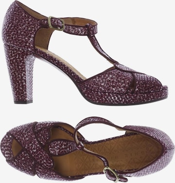 Chie Mihara Sandalen 40,5 in Rot: Vorderseite