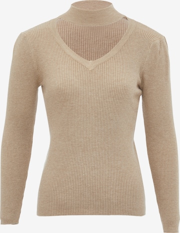leo selection Sweater in Brown: front