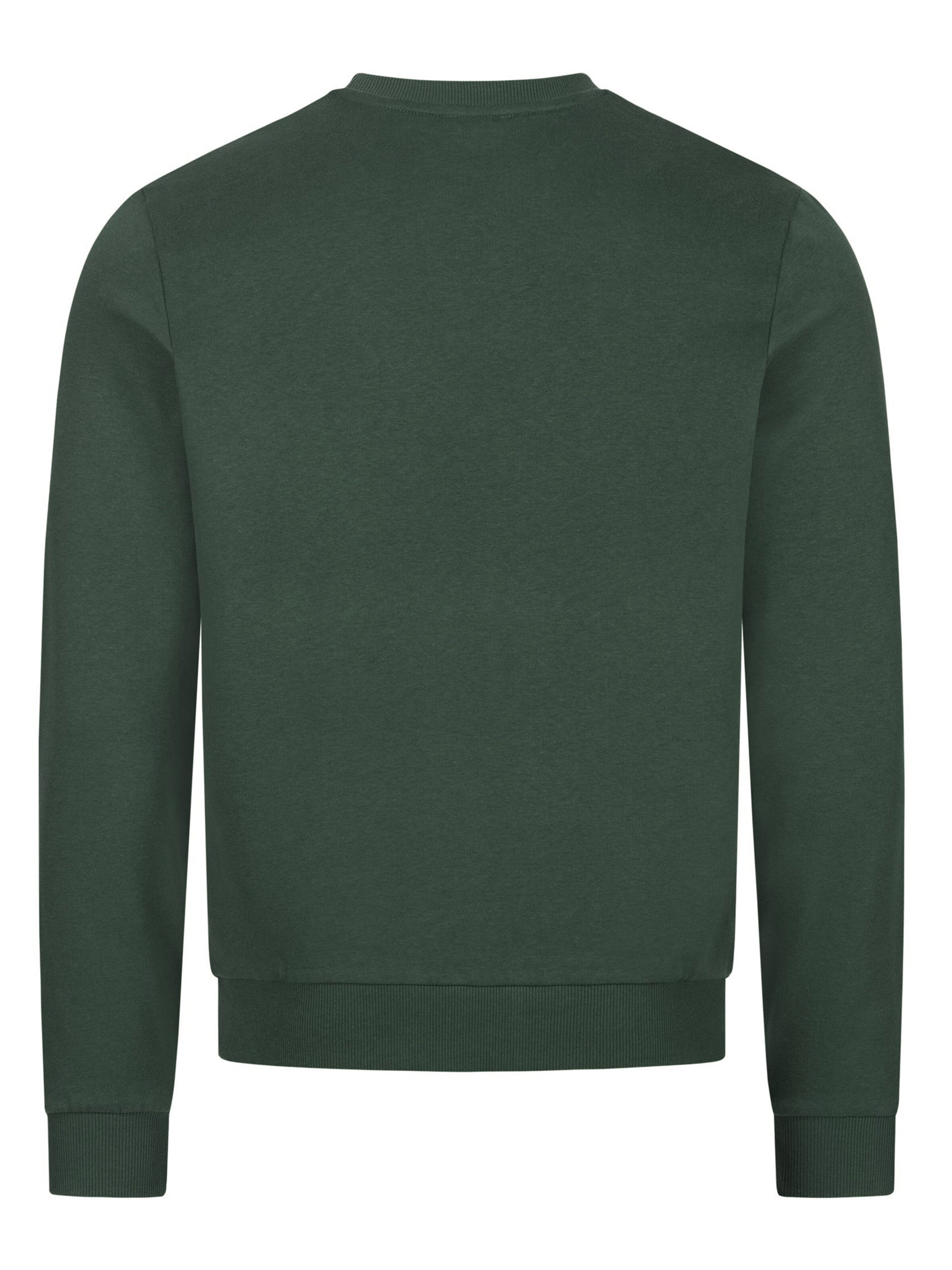 U.S. POLO ASSN. Sweatshirt in Green