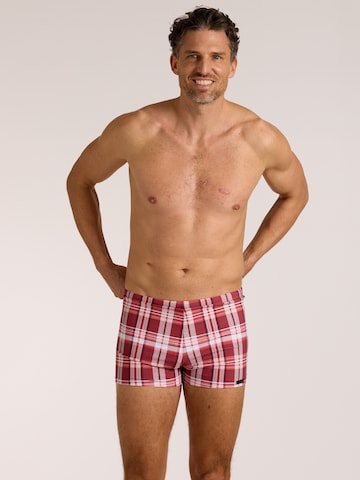 wavebreaker Swim Trunks in Red: front