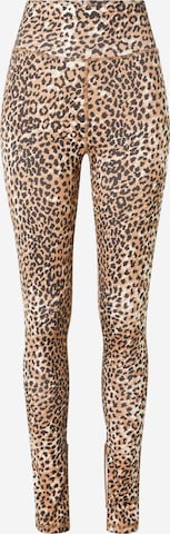 Ragdoll LA Skinny Leggings in Brown: front