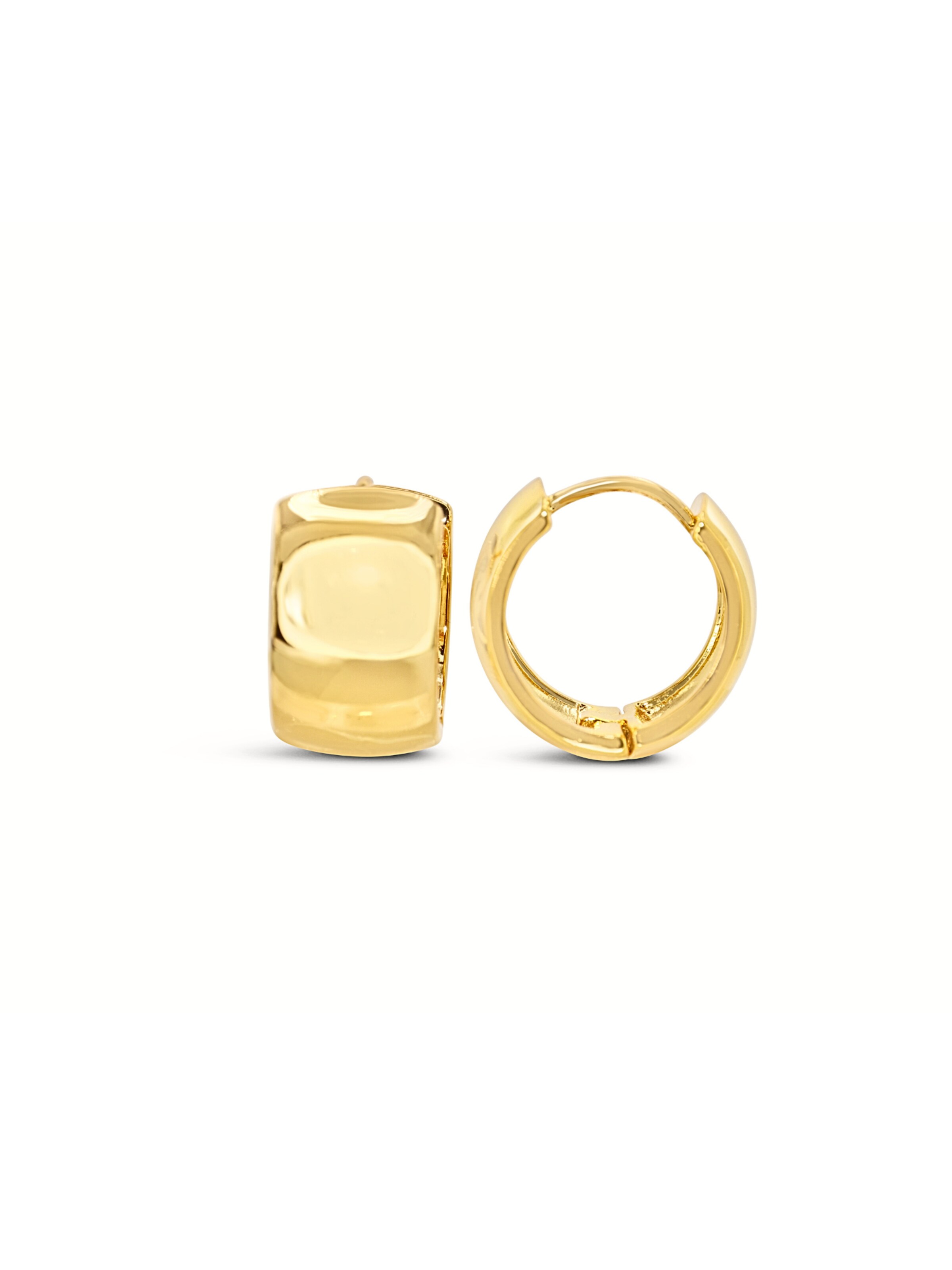 ARS-ARGENTI Earrings in Gold: front
