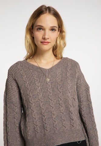 Pull-over DreiMaster Vintage en marron