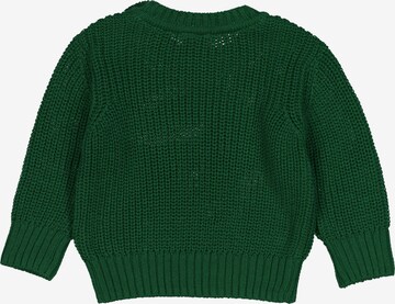 Fred's World by GREEN COTTON Pullover i grøn