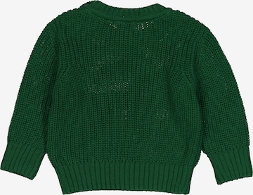 Pull-over Fred's World by GREEN COTTON en vert