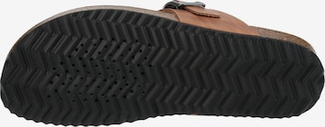 GEOX Teenslippers in Bruin