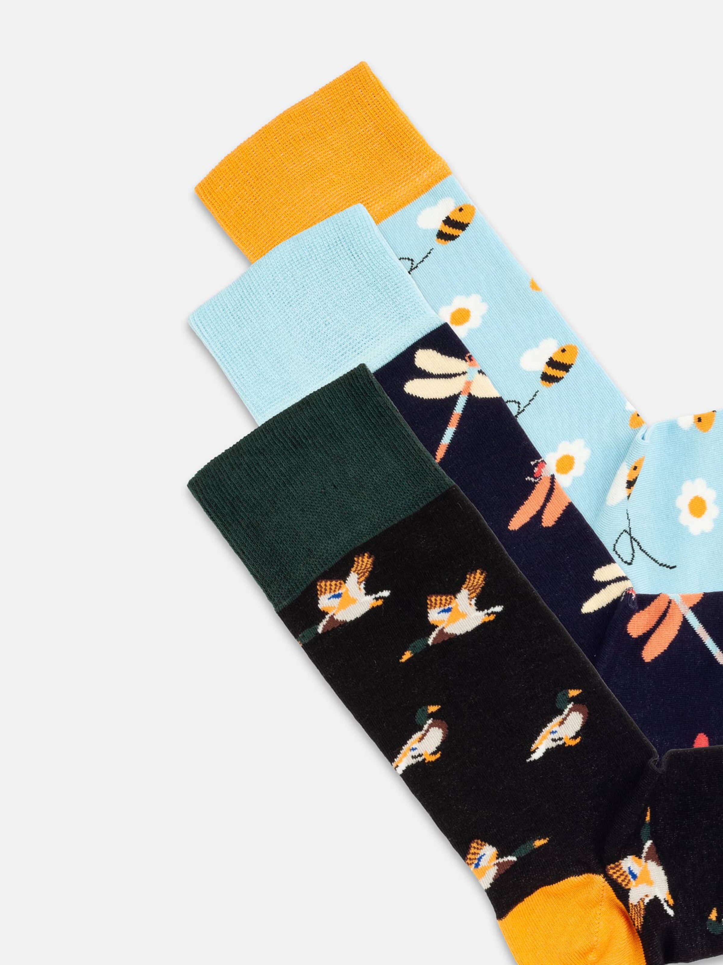 DillySocks Sokken 'Geschenkbox - Flutter into Spring (3er Box)' in Gemengde kleuren