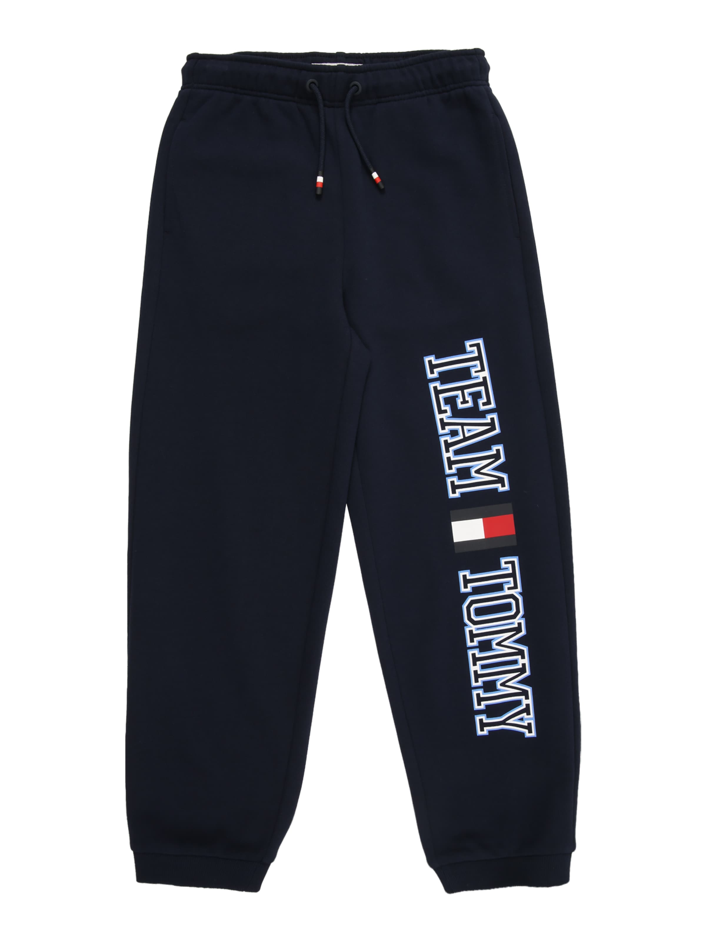 TOMMY HILFIGER Tapered Παντελόνι 'TEAM' σε μπλε: μπροστά
