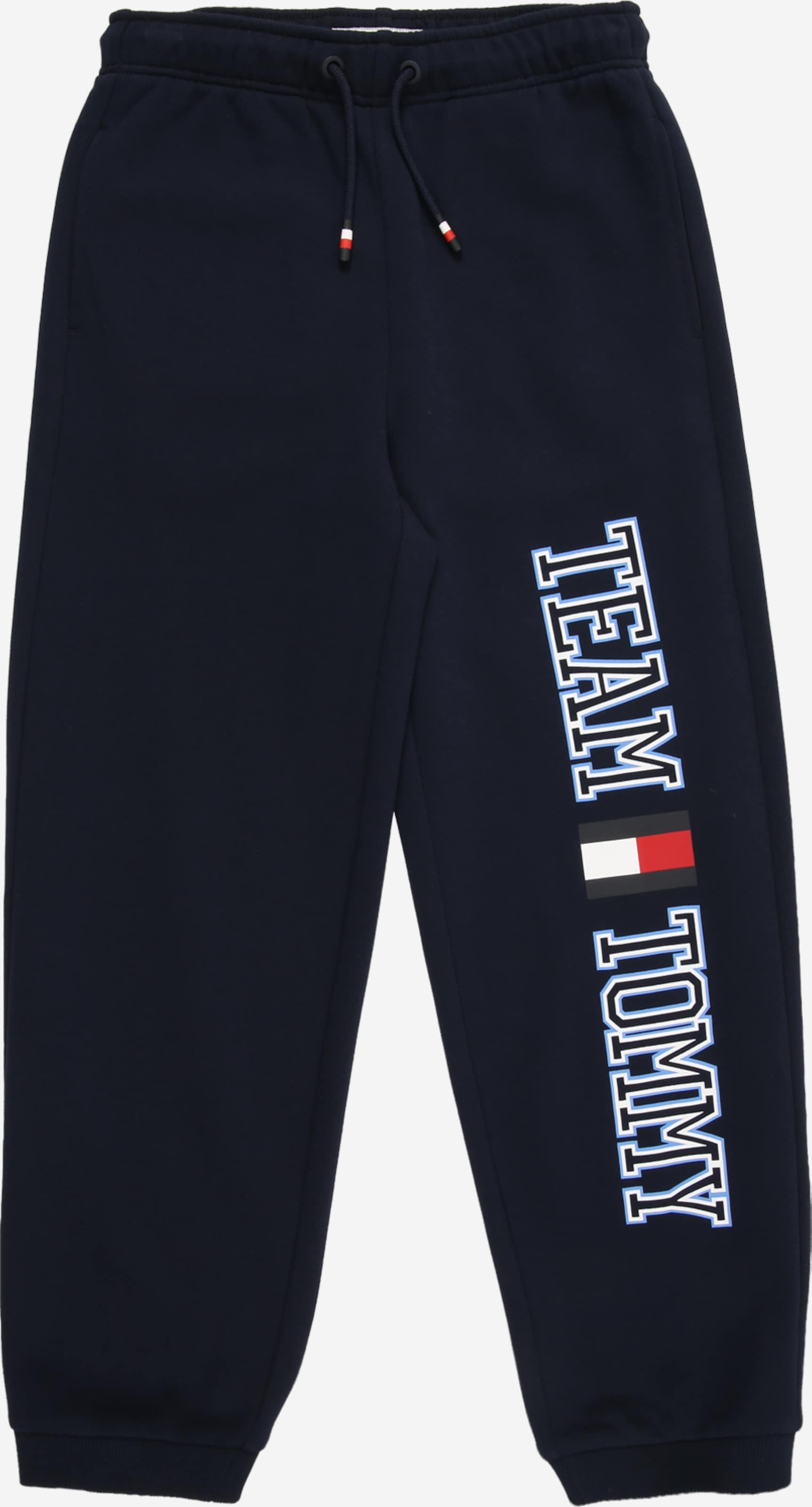 TOMMY HILFIGER Tapered Pantaloni 'TEAM'