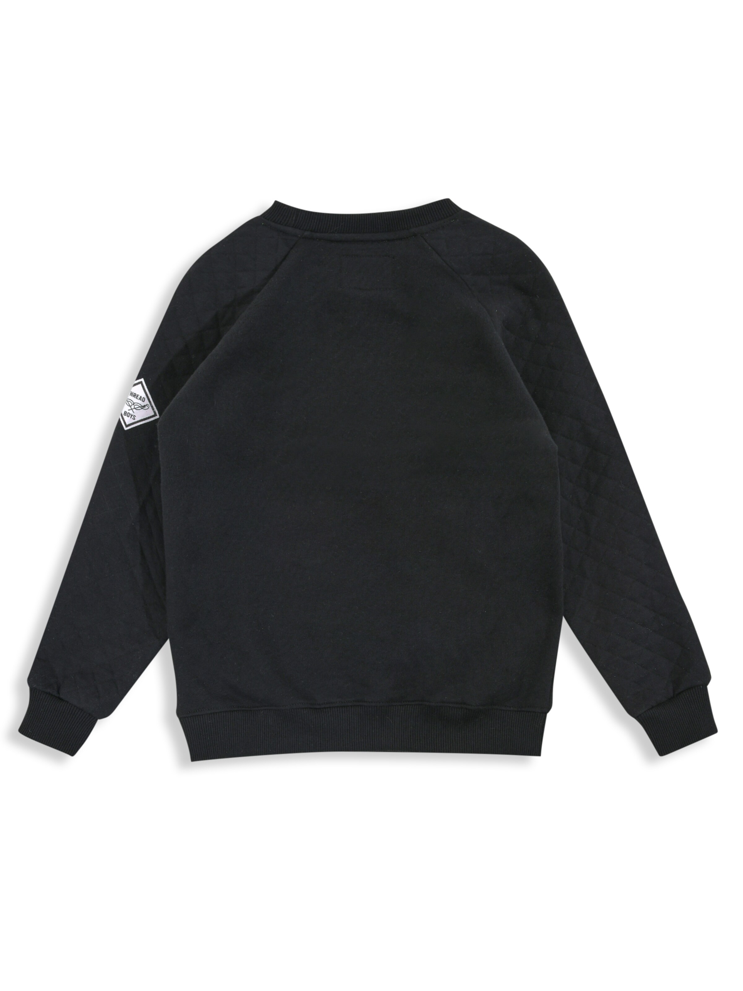 Threadboys Sweatshirt 'Illinois' in Black