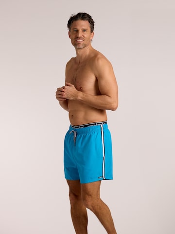 wavebreaker Board Shorts in Blue