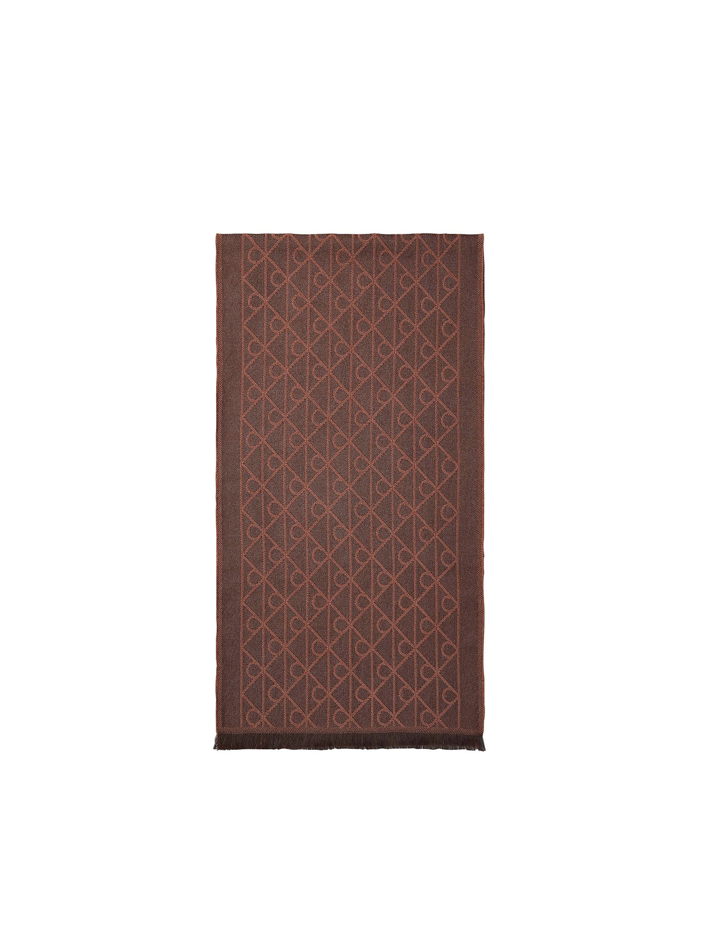 Calvin Klein Scarf in Brown: front